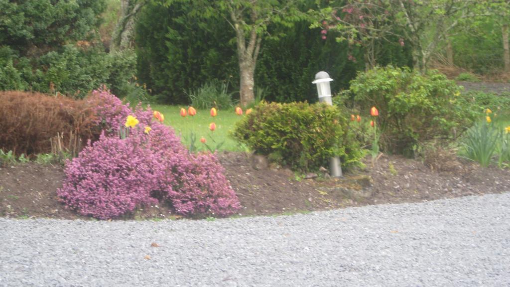 An Bruachan B&B Kenmare Eksteriør billede